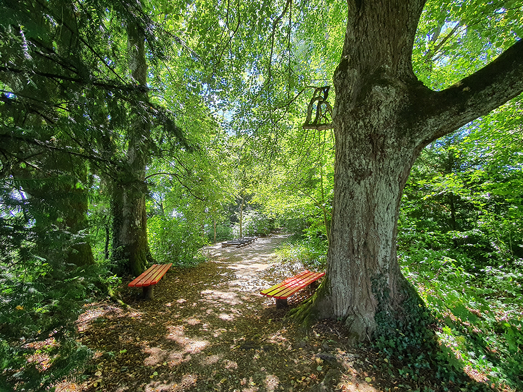 Finde den Weg in Deinen Inneren Garten. Alte Linden und Buchen säumen deinen Weg. Die Bank am Fuss einer Linde lädt dich zum Ankommen und Verweilen ein.